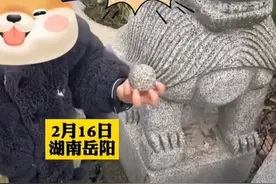 小孩从石狮嘴里拿出圆球放不回去 石球到底是怎么放进去的？图片
