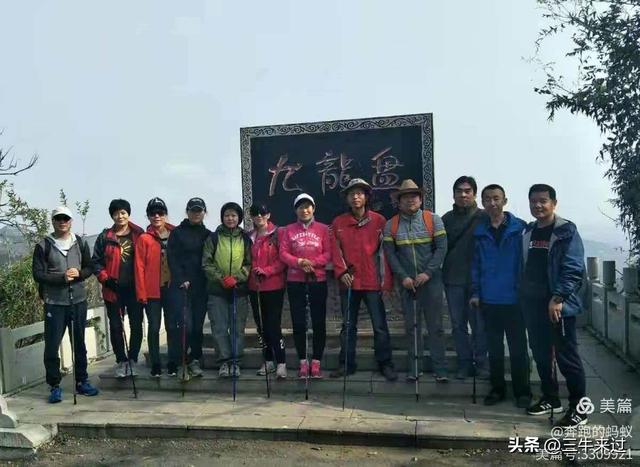 无为在歧路，免费仰天山