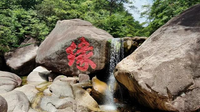 趣清凉·享太平 | 从“人从众”到“躺进山野”！东黄山让这届年轻人上头了！|皖美夏日
