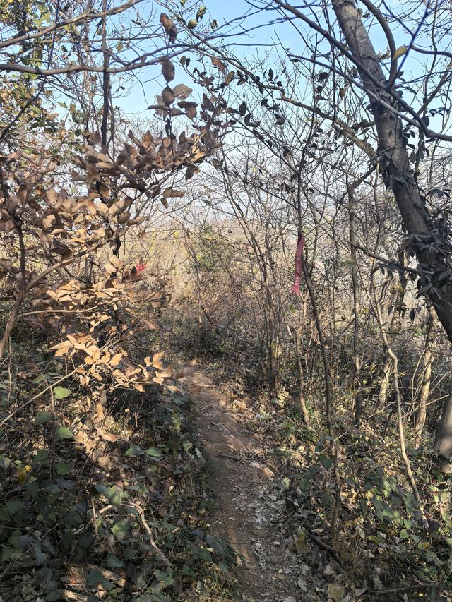 南京老山郊野一日徒步，从狮子岭兜率寺到汤泉惠济寺
