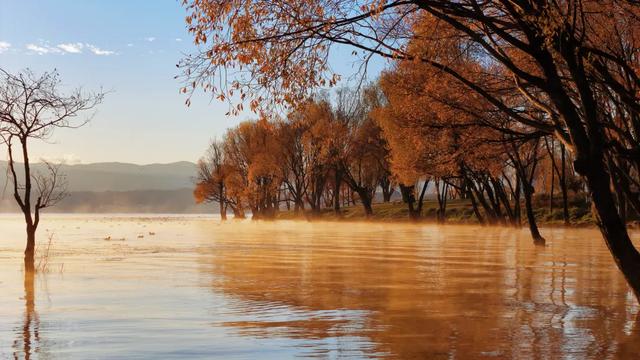 在大理,这个落叶像雪的季节