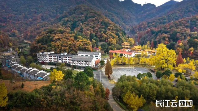 评分秋色：随州为啥被称为“杏”运城市？