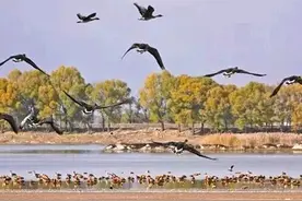 呼和浩特有十三个水库，你去过几个？图片