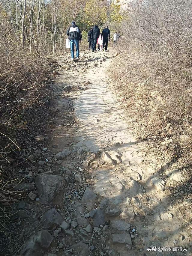 怒征西山公园，立在539.8米的顶峰