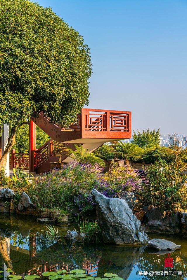 爬一座高不过百米的山，却能看到武汉最“豪横”的景。