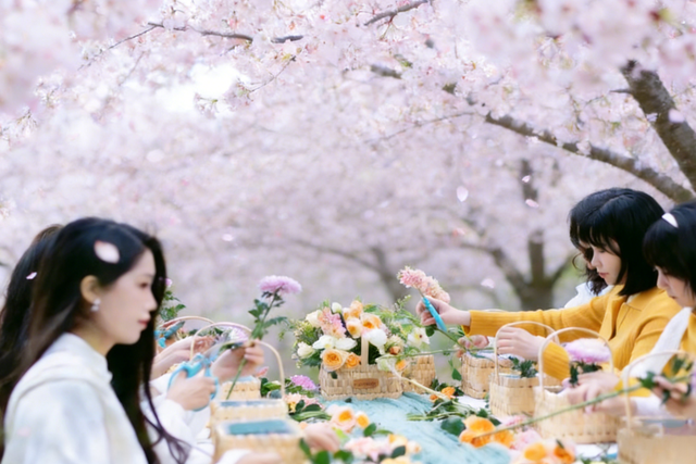 门票不限量免费送！明月山花海原居2月1日开园，解锁樱花美景+免票攻略+玩法指南！