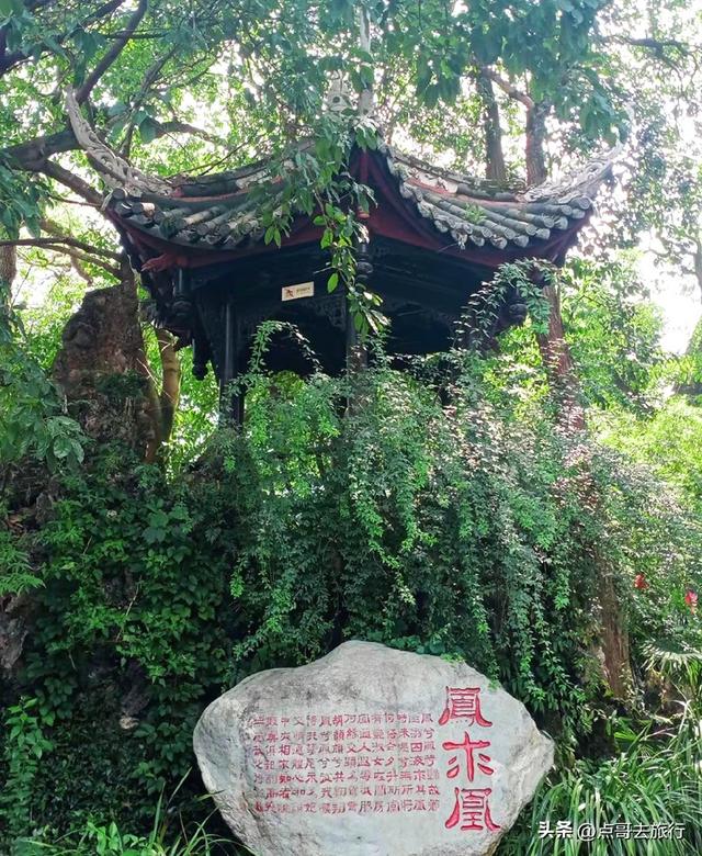 成都4大名园清凉避暑，很低调，其中唐代园林孤本，少有人去过！