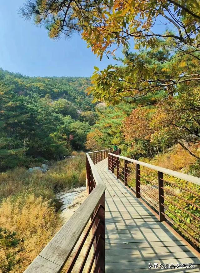 【乐游烟台】正式宣布！下一轮降温前，烟台人该……