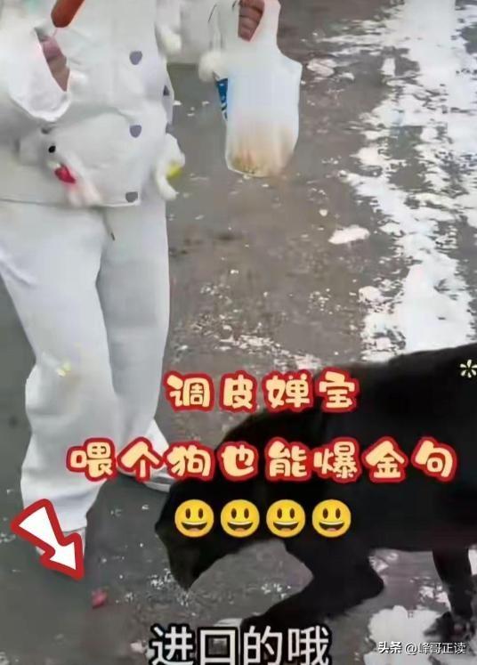 陈芋汐也没想过，香港灾情后全红婵这一举动	，迎来口碑暴增