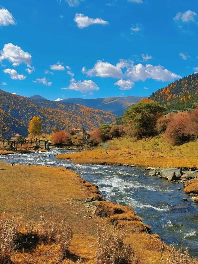 停停停！甘孜秋天美得太快了我看不过来