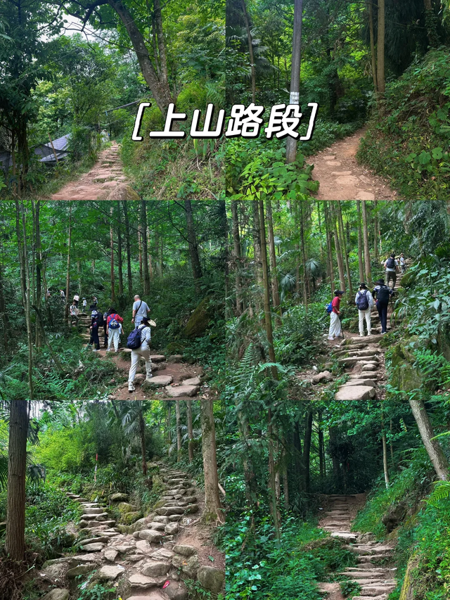 被追问无数次的都江堰徒步玩水宝藏地，免费、1.5h可达！