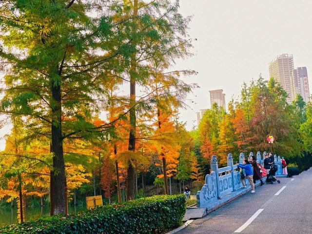 刚拍下!洛阳这个大型公园美爆了