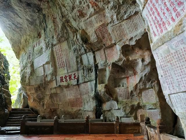 免票、打折……肇庆超多福利来袭！速看→