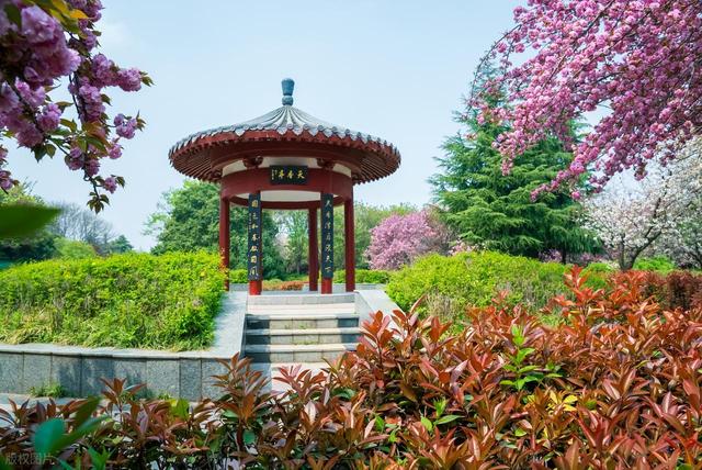 全部免费！洛阳最值得一去的8个宝藏景点，好玩又好拍，赶紧收藏