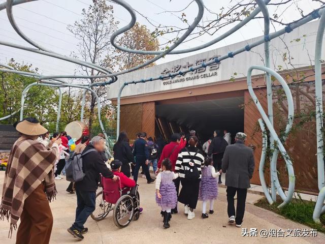 【乐游烟台】冷?不存在的!烟台这些“冬日快乐水”实测抗寒