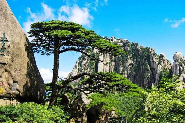 黄山初冬,打翻调色盘的绝美限定 | 皖美冬日