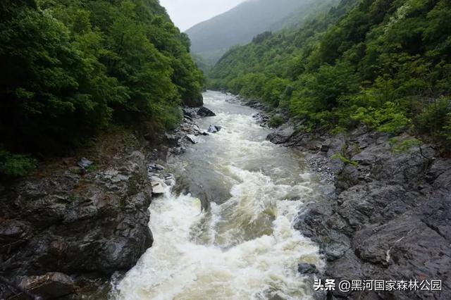 一夜入秋 | 一键查看你不曾见过的雨中黑河
