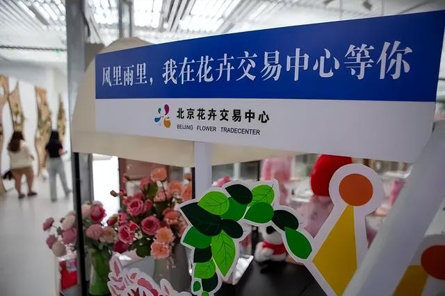 丰台二日漫游指南 | 解锁“花影车梦” 新玩法，奔赴丰台，感受热爱