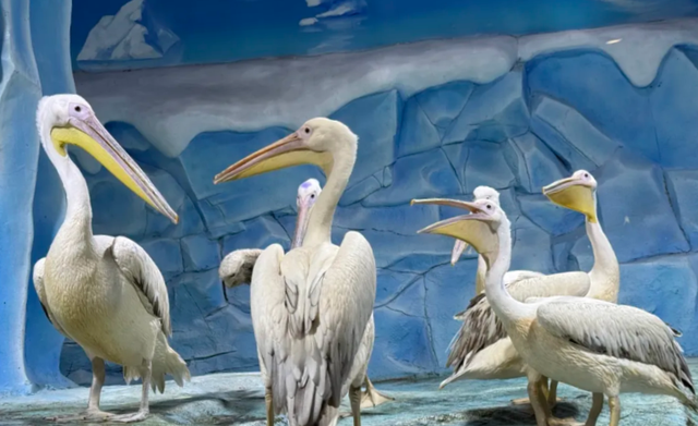 临沂太会玩了！你的短途出行计划，一键收藏