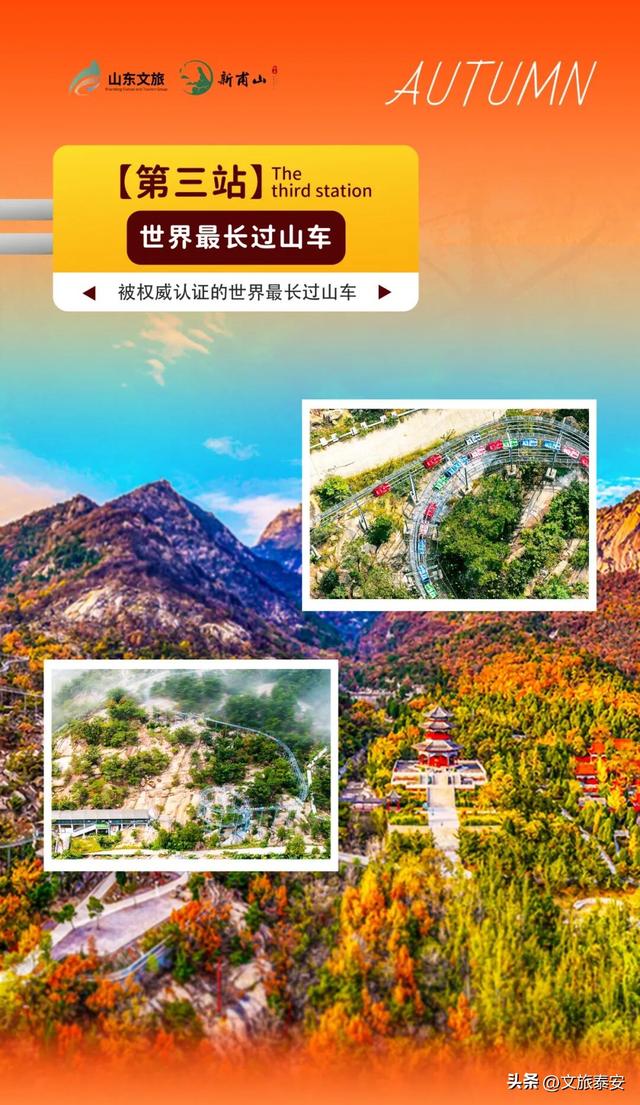 来赏银杏啦！还记得那年 “杏” 花微雨，你说要来新甫山~