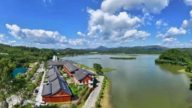 “冬养罗浮”康养品牌发布！在引领区过冬是怎样一种体验？