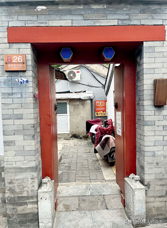 为何是他，治好了年轻人的“精神内耗”