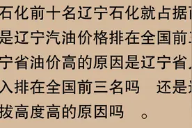 聊聊中国最大的十个炼油厂到底谁更牛呢？图片