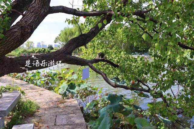 绍兴上虞白马湖畔的打卡胜地，人文气息藏于湖光山色，景美但人少