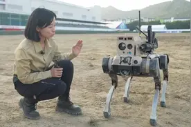 中国“机器狼”亮相航展，有望破解巷战难题！跟机器狗有何区别？图片