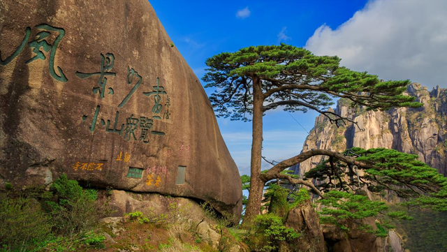 旅游，让两个好朋友分道扬镳