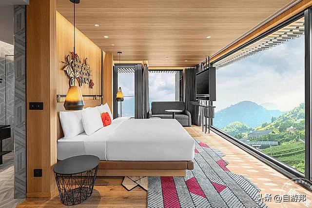 秋天已渐渐带来凉意，让有些树叶渐渐有了「红颜」