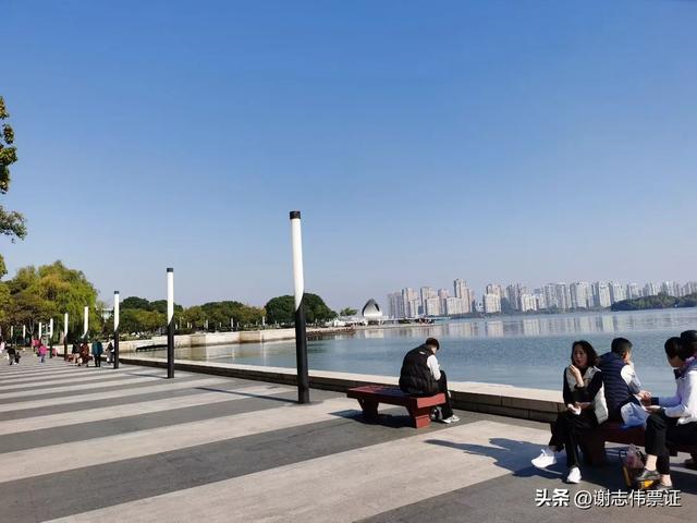 借会见邻居之机，再游金鸡湖