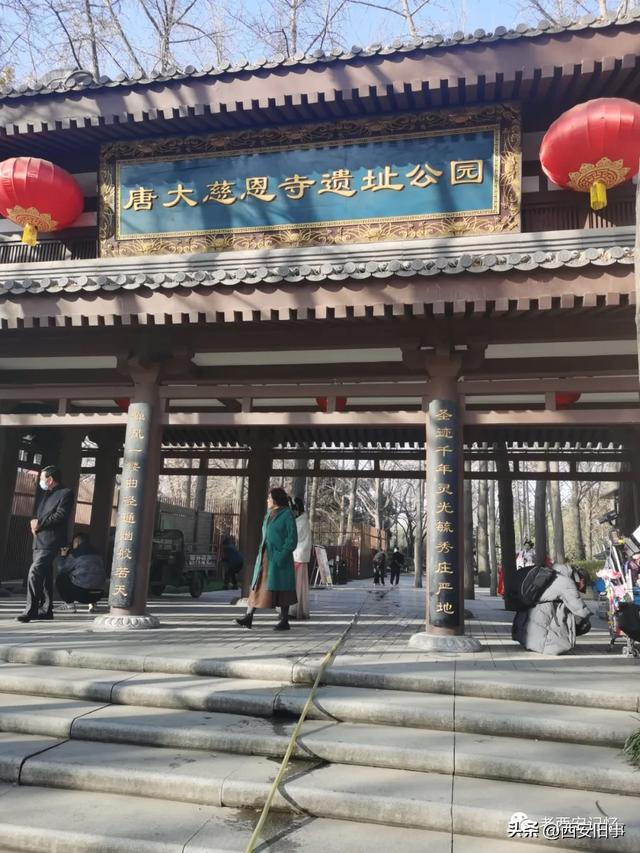 朱文杰：大雁塔的奇卉名木（上）