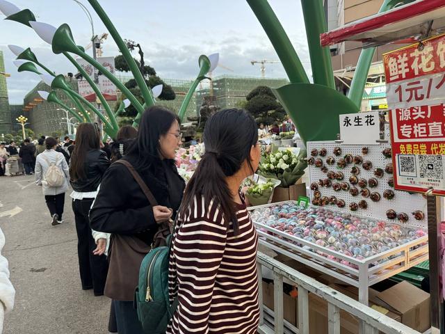 【外眼看云南】柬埔寨顶流姜思倪携家人圆梦云南：斗南花海巧遇结婚纪念日