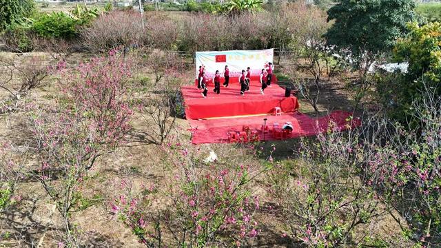 去怀集大岗，看桃花