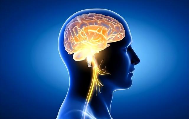 AI能解记忆密码？分析数据找规律，个人差异藏玄机