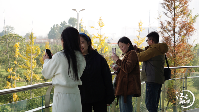 泸州“网红”漫游江安 乐享安逸时光