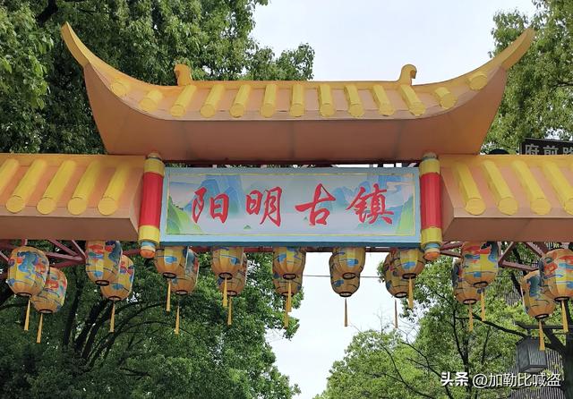 余姚慈溪五日休闲游