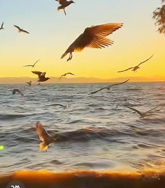 雲南昆明海晏村：滇池边日落秘境，藏着最治愈的烟火气