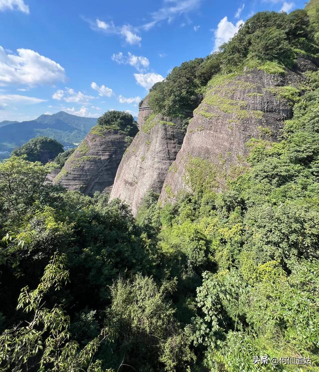 小武当金龟出山
