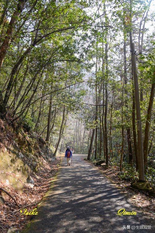 影记 | 衢州钱江源国家森林公园