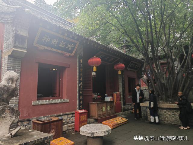 泰安：又是一年重阳时！带家中老人去哪儿走走？推荐一个免费景点