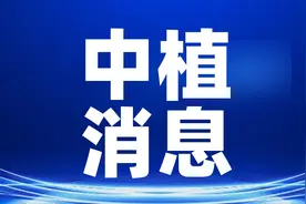 中植系最新进展消息图片