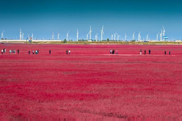 东北最值得去的10个地方，去过5个算合格，去过8个算旅行大玩家