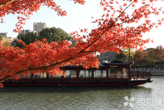 秋季限定！苏州环古城河健身步道换上灿烂“红装”