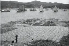 美国博物馆，发现罕见照片：民国时的惠州，居然是这个样子图片