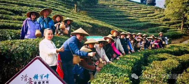 茶园旅游与在地化