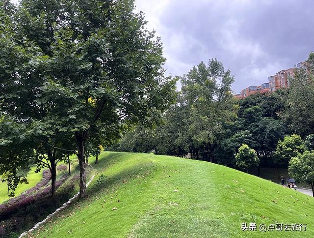 成都公园难得一见的旷野之景，画面超级唯美，地铁公交到达！