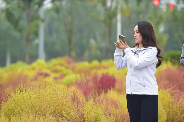 如梦如幻！生态城惊现秋季最美打卡地