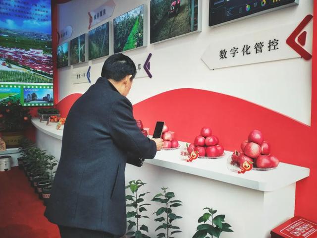 “果香专列”赴金果盛会 “甜蜜之旅”谱产业交响